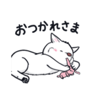 ムクムクの白いワンコ（個別スタンプ：40）