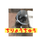 こももちゃんスタンプ！（個別スタンプ：5）