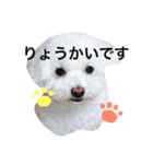 まるぷー★まると黒猫むく（個別スタンプ：2）