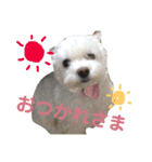 まるぷー★まると黒猫むく（個別スタンプ：6）