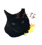 まるぷー★まると黒猫むく（個別スタンプ：7）