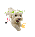 まるぷー★まると黒猫むく（個別スタンプ：16）