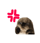 ねこるるちゃん(日本語)（個別スタンプ：3）