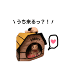 ちゃんきみ（個別スタンプ：7）