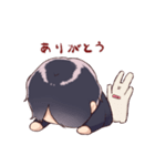 げんぴょんスタンプ（個別スタンプ：11）
