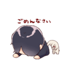 げんぴょんスタンプ（個別スタンプ：12）