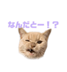 らて男(らてお)さんスタンプ（個別スタンプ：9）