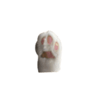モフモフ猫のもふちゃん（個別スタンプ：28）