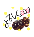 ティアラ.メイ.ココ（個別スタンプ：16）