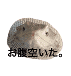 わんぱく兄弟..（個別スタンプ：9）