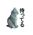 続 ねこが言う（個別スタンプ：33）