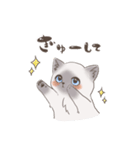 おしゃむくんスタンプ（個別スタンプ：4）