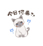おしゃむくんスタンプ（個別スタンプ：7）