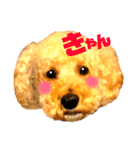 うちのわんこシリーズ（個別スタンプ：1）