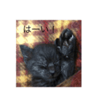 黒猫めめたん ver1（個別スタンプ：2）