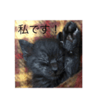 黒猫めめたん ver1（個別スタンプ：8）