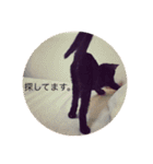 黒猫めめたん ver1（個別スタンプ：26）