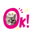 ひーめ（個別スタンプ：1）