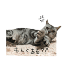 ひーめ（個別スタンプ：7）