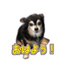 リズラムムックシピのスタンプ（個別スタンプ：1）