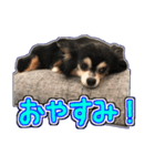 リズラムムックシピのスタンプ（個別スタンプ：2）
