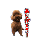 リズラムムックシピのスタンプ（個別スタンプ：3）
