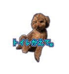 リズラムムックシピのスタンプ（個別スタンプ：14）
