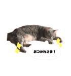 YOUnaちゃん①（個別スタンプ：16）