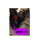 高橋家の猫たち2（個別スタンプ：8）