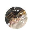 かまぼこさんスタンプ（個別スタンプ：4）