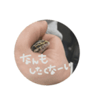 かまぼこさんスタンプ（個別スタンプ：16）