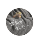 かまぼこさんスタンプ（個別スタンプ：18）