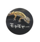 かまぼこさんスタンプ（個別スタンプ：20）