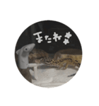 かまぼこさんスタンプ（個別スタンプ：24）