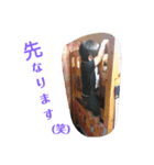 せらゆーすたンプ（個別スタンプ：15）