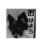 音と楽③（個別スタンプ：1）
