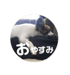 音と楽③（個別スタンプ：2）