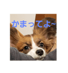 音と楽③（個別スタンプ：5）