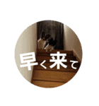 音と楽③（個別スタンプ：6）