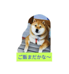 シバココ日和1（個別スタンプ：9）