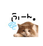 我輩は猫にゃのか？（個別スタンプ：5）