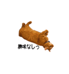 とらまるさん (茶トラ)（個別スタンプ：9）