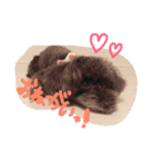 トイプードル あいすちゃん（個別スタンプ：2）
