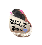 トイプードル あいすちゃん（個別スタンプ：3）