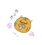 ドラ猫スタンプ（個別スタンプ：9）