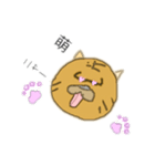 ドラ猫スタンプ（個別スタンプ：10）