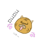 ドラ猫スタンプ（個別スタンプ：15）