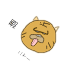 ドラ猫スタンプ（個別スタンプ：24）
