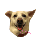 ふくちゃんふくちゃん（個別スタンプ：1）
