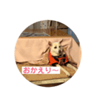 ふくちゃんふくちゃん（個別スタンプ：4）